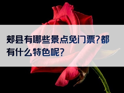 郏县有哪些景点免门票？都有什么特色呢？