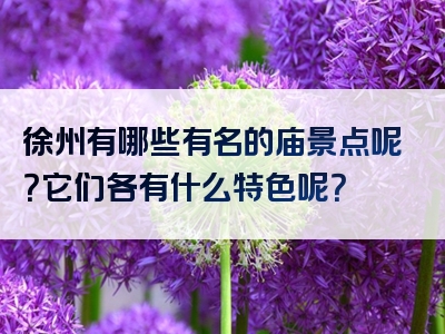 徐州有哪些有名的庙景点呢？它们各有什么特色呢？