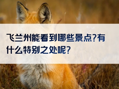 飞兰州能看到哪些景点？有什么特别之处呢？