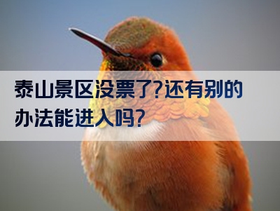 泰山景区没票了？还有别的办法能进入吗？