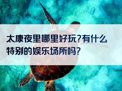 太康夜里哪里好玩？有什么特别的娱乐场所吗？