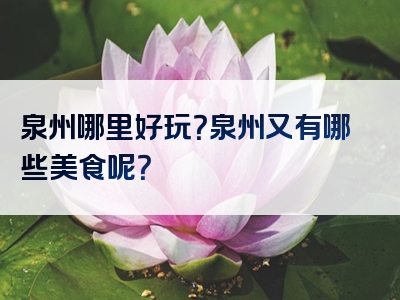 泉州哪里好玩？泉州又有哪些美食呢？