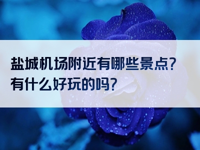 盐城机场附近有哪些景点？有什么好玩的吗？