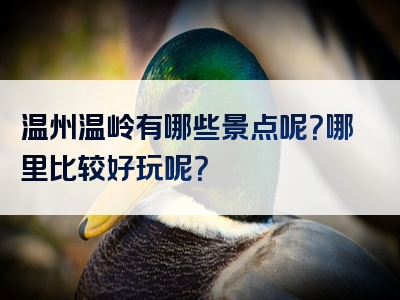 温州温岭有哪些景点呢？哪里比较好玩呢？
