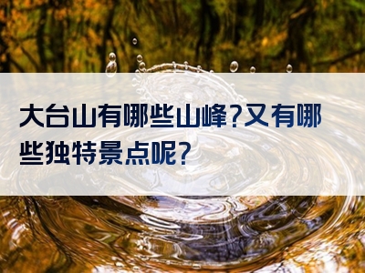 大台山有哪些山峰？又有哪些独特景点呢？