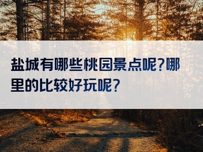盐城有哪些桃园景点呢？哪里的比较好玩呢？