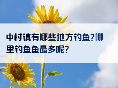 中村镇有哪些地方钓鱼？哪里钓鱼鱼最多呢？