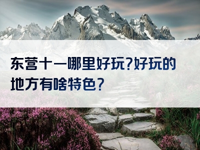 东营十一哪里好玩？好玩的地方有啥特色？