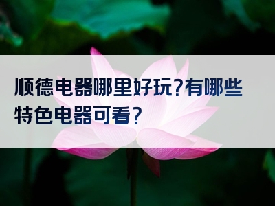 顺德电器哪里好玩？有哪些特色电器可看？