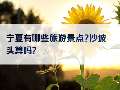 宁夏有哪些旅游景点？沙坡头算吗？