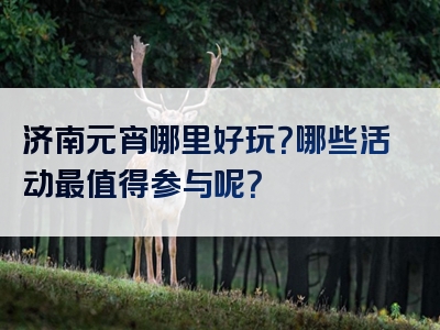 济南元宵哪里好玩？哪些活动最值得参与呢？