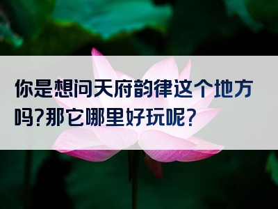 你是想问天府韵律这个地方吗？那它哪里好玩呢？