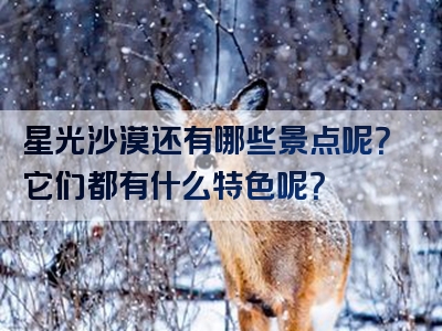 星光沙漠还有哪些景点呢?它们都有什么特色呢?