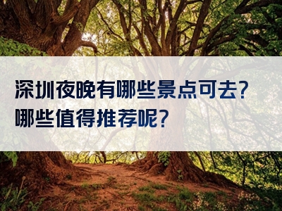 深圳夜晚有哪些景点可去？哪些值得推荐呢？