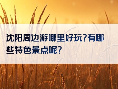 沈阳周边游哪里好玩？有哪些特色景点呢？