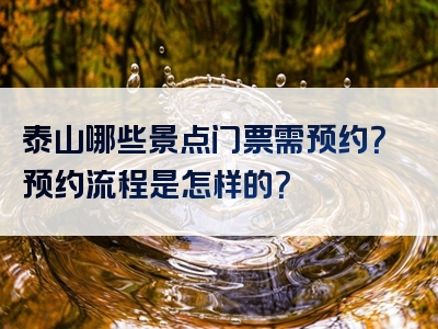 泰山哪些景点门票需预约？预约流程是怎样的？