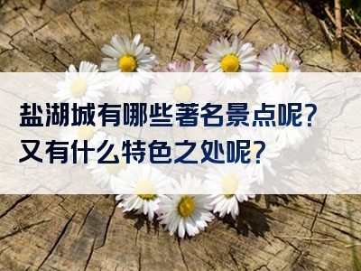 盐湖城有哪些著名景点呢？又有什么特色之处呢？