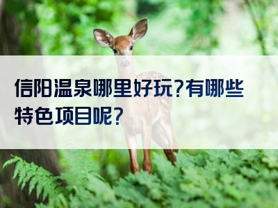 信阳温泉哪里好玩？有哪些特色项目呢？