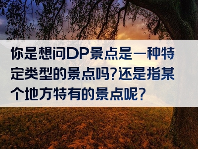 你是想问DP景点是一种特定类型的景点吗？还是指某个地方特有的景点呢？