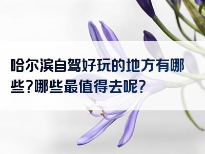 哈尔滨自驾好玩的地方有哪些？哪些最值得去呢？