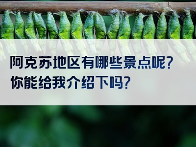 阿克苏地区有哪些景点呢？你能给我介绍下吗？