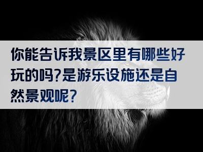 你能告诉我景区里有哪些好玩的吗？是游乐设施还是自然景观呢？