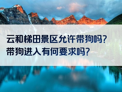 云和梯田景区允许带狗吗？带狗进入有何要求吗？