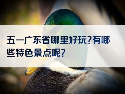 五一广东省哪里好玩？有哪些特色景点呢？