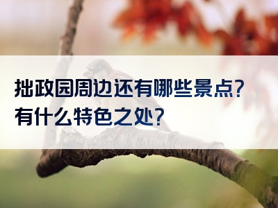 拙政园周边还有哪些景点？有什么特色之处？