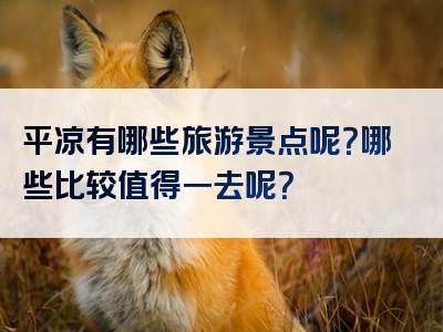 平凉有哪些旅游景点呢？哪些比较值得一去呢？
