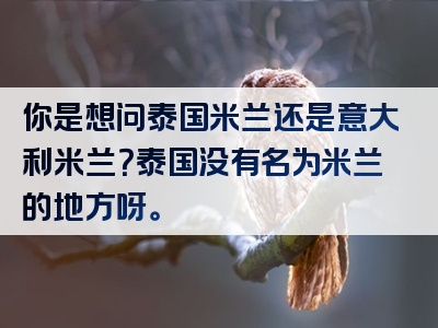 你是想问泰国米兰还是意大利米兰？泰国没有名为米兰的地方呀。