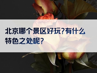 北京哪个景区好玩？有什么特色之处呢？