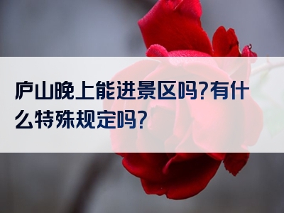 庐山晚上能进景区吗？有什么特殊规定吗？
