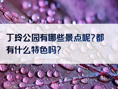 丁玲公园有哪些景点呢？都有什么特色吗？