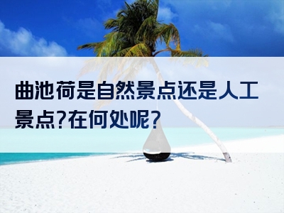 曲池荷是自然景点还是人工景点？在何处呢？