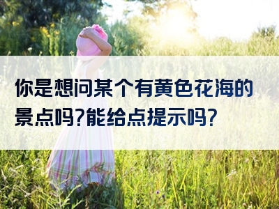 你是想问某个有黄色花海的景点吗？能给点提示吗？