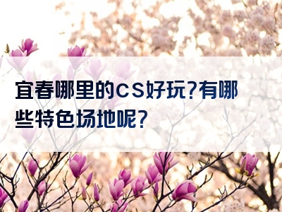 宜春哪里的cs好玩？有哪些特色场地呢？