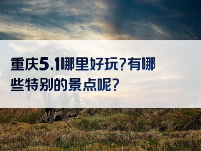 重庆5.1哪里好玩？有哪些特别的景点呢？