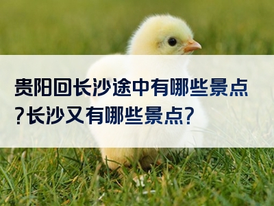贵阳回长沙途中有哪些景点？长沙又有哪些景点？