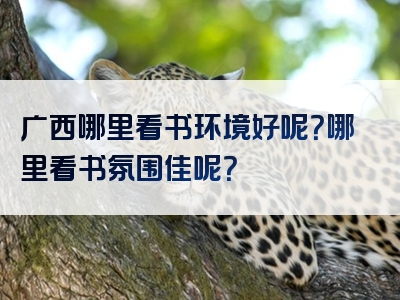广西哪里看书环境好呢？哪里看书氛围佳呢？