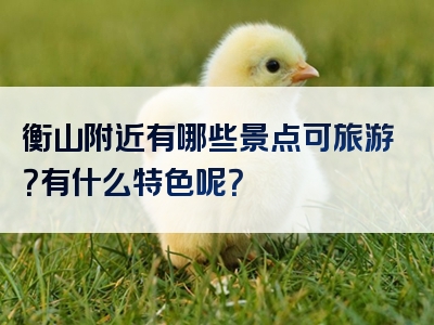 衡山附近有哪些景点可旅游？有什么特色呢？