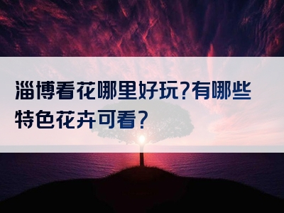 淄博看花哪里好玩？有哪些特色花卉可看？