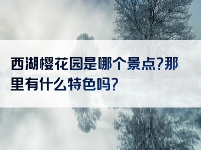 西湖樱花园是哪个景点？那里有什么特色吗？