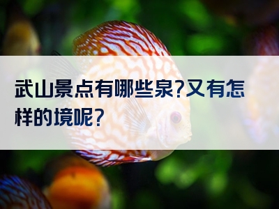 武山景点有哪些泉？又有怎样的境呢？