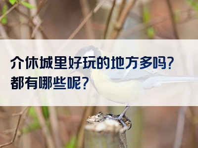 介休城里好玩的地方多吗？都有哪些呢？