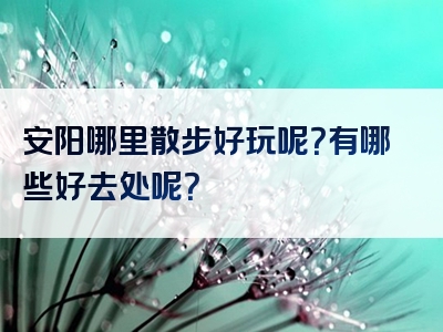 安阳哪里散步好玩呢？有哪些好去处呢？
