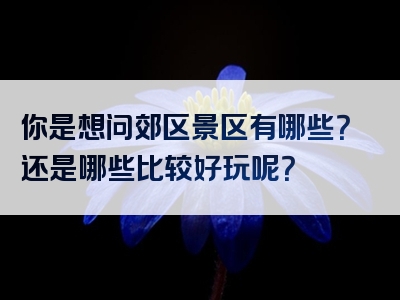 你是想问郊区景区有哪些？还是哪些比较好玩呢？