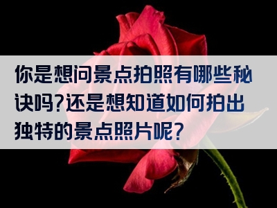 你是想问景点拍照有哪些秘诀吗？还是想知道如何拍出独特的景点照片呢？