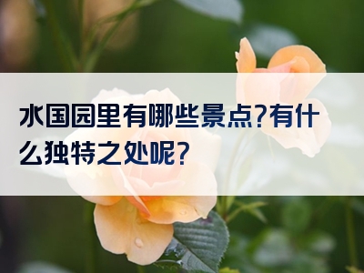 水国园里有哪些景点？有什么独特之处呢？
