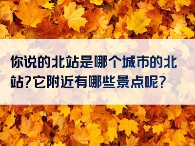 你说的北站是哪个城市的北站？它附近有哪些景点呢？
